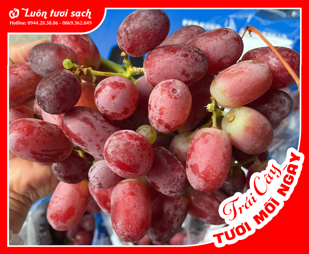 Nho đỏ Long Crimson Okuku Úc